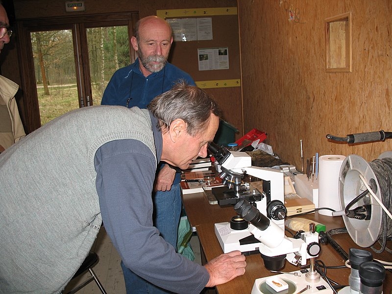 2008 03  Atelier myxomycètes 08